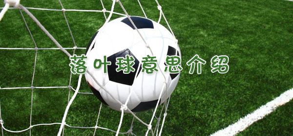 足球专业术语-落叶球意思介绍