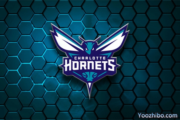 2019-2020赛季<a href=/lanqiu/hornets/ target=_blank class=infotextkey>黄蜂</a>队队徽